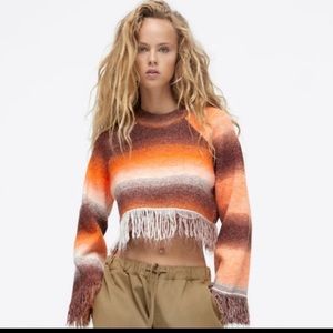 NWT Zara sweater